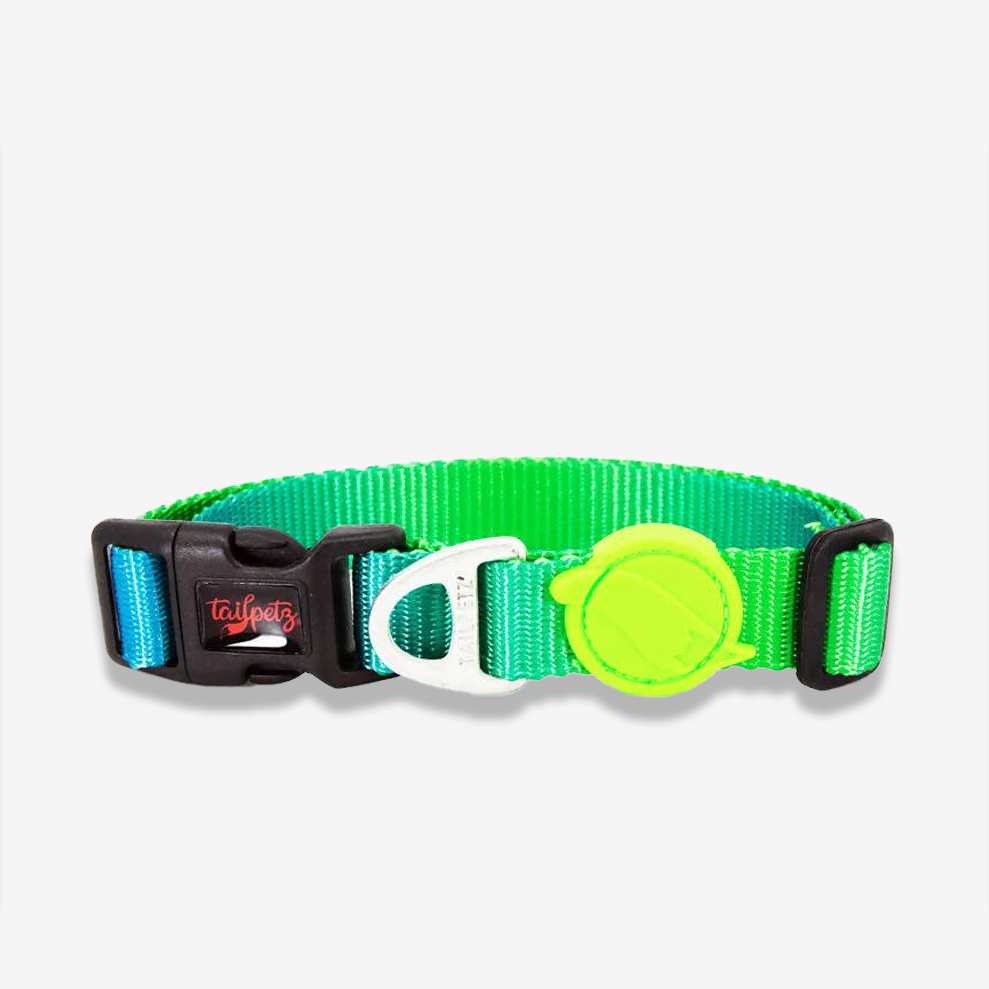 Vibrant collection of dog collars available in our online pet shop. Premium designer dog collar, now in stock at our online store. Puppy Collar.