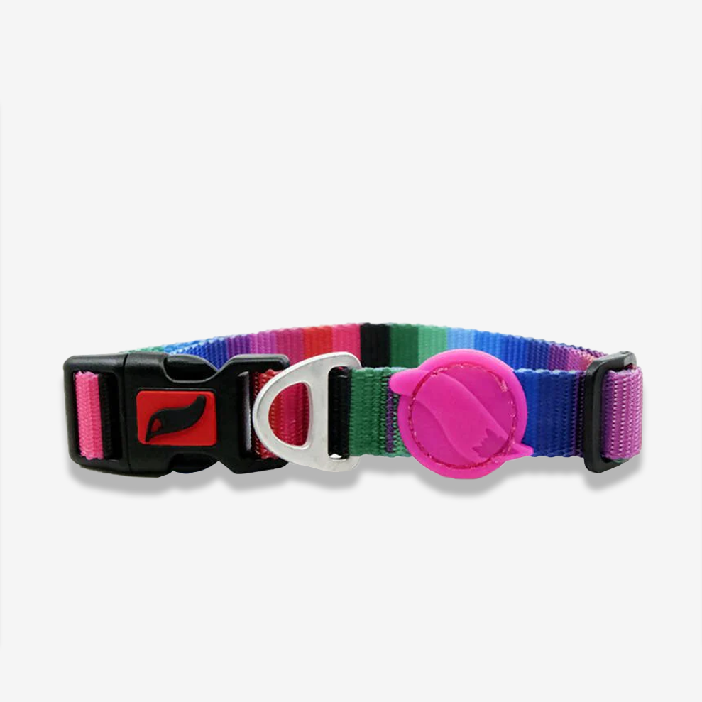 Designer small dog collars hotsell