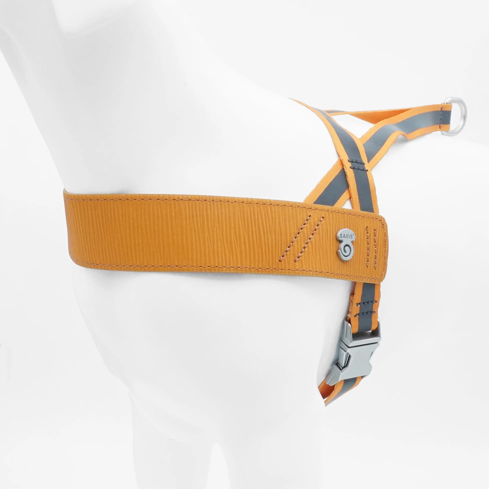 Perfect fit adjustable dog harness for training Labradors Durable, perfect fit leather dog harness designed for English Bulldogs, Cocker Spaniels, for active Border Collies,Terrier dog harness ensuring perfect control and fit, Colorful perfect fit dog harnesses for Jack Russell Terrier, French Bulldogs, for German Shepherds. Easy to use, step-in perfect fit dog harness for Boxer dogs. Premium perfect fit dog harness designed for the comfort of Golden Retrievers