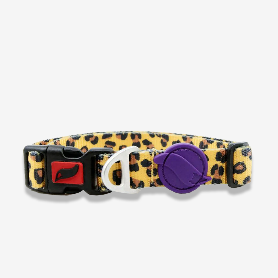 Vibrant collection of dog collars available in our online pet shop. Premium designer dog collar, now in stock at our online store. Puppy Collar. Leather collar.