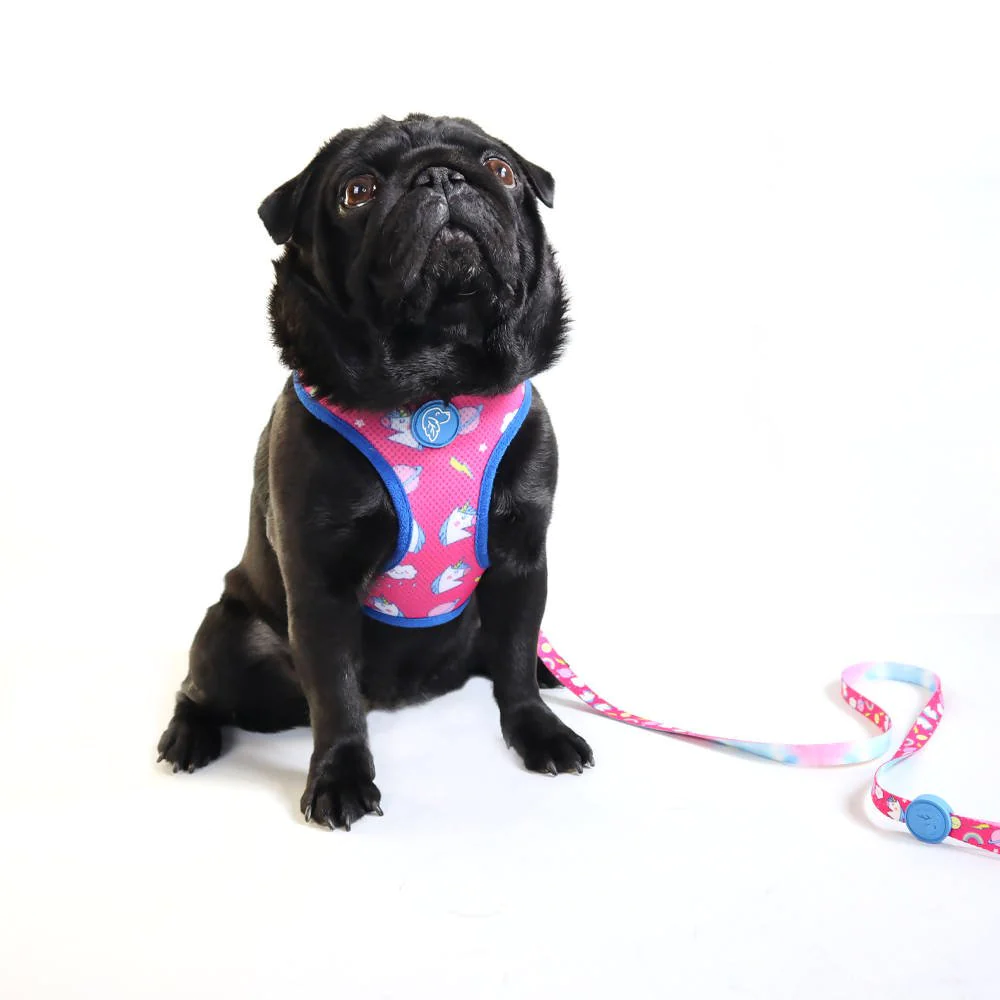 Perfect fit adjustable dog harness for training Labradors Durable, perfect fit leather dog harness designed for English Bulldogs, Cocker Spaniels, for active Border Collies,Terrier dog harness ensuring perfect control and fit, Colorful perfect fit dog harnesses for Jack Russell Terrier, French Bulldogs, for German Shepherds. Easy to use, step-in perfect fit dog harness for Boxer dogs. Premium perfect fit dog harness designed for the comfort of Golden Retrievers