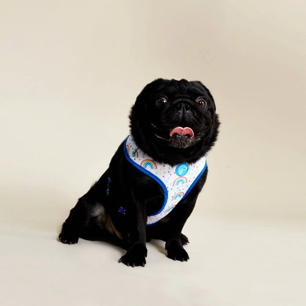Perfect fit adjustable dog harness for training Labradors Durable, perfect fit leather dog harness designed for English Bulldogs, Cocker Spaniels, for active Border Collies,Terrier dog harness ensuring perfect control and fit, Colorful perfect fit dog harnesses for Jack Russell Terrier, French Bulldogs, for German Shepherds. Easy to use, step-in perfect fit dog harness for Boxer dogs. Premium perfect fit dog harness designed for the comfort of Golden Retrievers