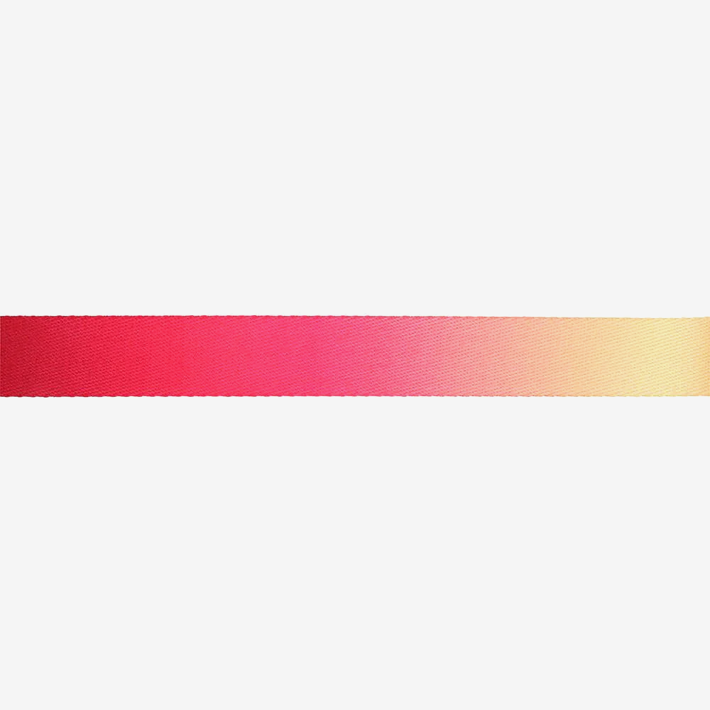 Vibrant collection of dog collars available in our online pet shop. Premium designer dog collar, now in stock at our online store. Puppy Collar.