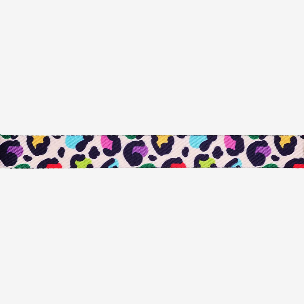 Vibrant collection of dog collars available in our online pet shop. Premium designer dog collar, now in stock at our online store. Puppy Collar.