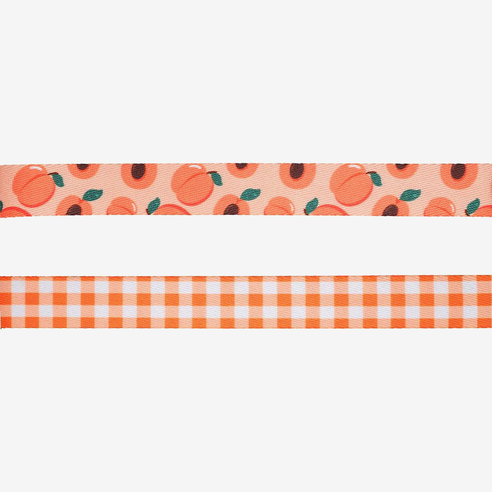 Vibrant collection of dog collars available in our online pet shop. Premium designer dog collar, now in stock at our online store. Puppy Collar