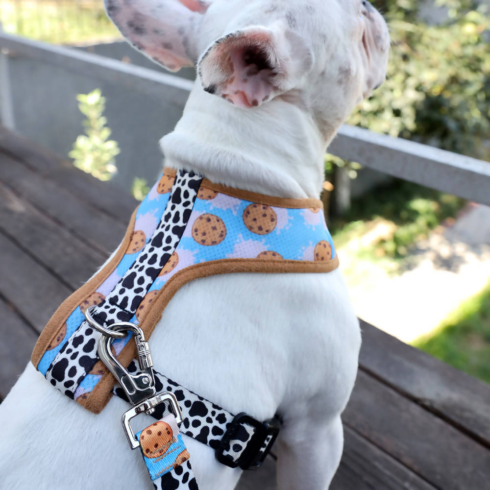 Perfect fit adjustable dog harness for training Labradors Durable, perfect fit leather dog harness designed for English Bulldogs, Cocker Spaniels, for active Border Collies,Terrier dog harness ensuring perfect control and fit, Colorful perfect fit dog harnesses for Jack Russell Terrier, French Bulldogs, for German Shepherds. Easy to use, step-in perfect fit dog harness for Boxer dogs. Premium perfect fit dog harness designed for the comfort of Golden Retrievers