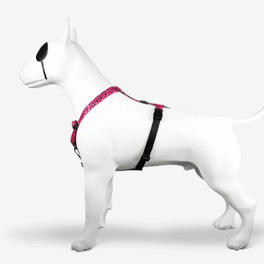 Perfect fit adjustable dog harness for training Labradors Durable, perfect fit leather dog harness designed for English Bulldogs, Cocker Spaniels, for active Border Collies,Terrier dog harness ensuring perfect control and fit, Colorful perfect fit dog harnesses for Jack Russell Terrier, French Bulldogs, for German Shepherds. Easy to use, step-in perfect fit dog harness for Boxer dogs. Premium perfect fit dog harness designed for the comfort of Golden Retrievers