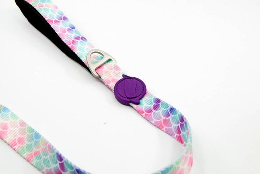 Dog leashes dog leads for Labradors Durable, for English Bulldogs, Cocker Spaniels, for active Border Collies,Terrier dog harness ensuring perfect control and fit, Colorful dog leads dog leashes for Jack Russell Terrier, French Bulldogs, for German Shepherds. Easy to use, for Boxer dogs. Premium dog leads dog leashes designed for the comfort of Golden Retrievers