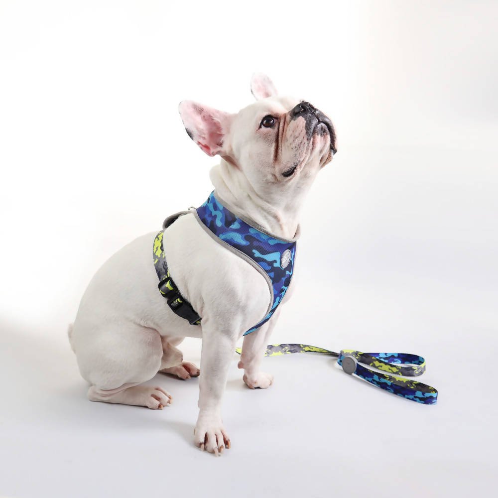 Perfect fit adjustable dog harness for training Labradors Durable, perfect fit leather dog harness designed for English Bulldogs, Cocker Spaniels, for active Border Collies,Terrier dog harness ensuring perfect control and fit, Colorful perfect fit dog harnesses for Jack Russell Terrier, French Bulldogs, for German Shepherds. Easy to use, step-in perfect fit dog harness for Boxer dogs. Premium perfect fit dog harness designed for the comfort of Golden Retrievers