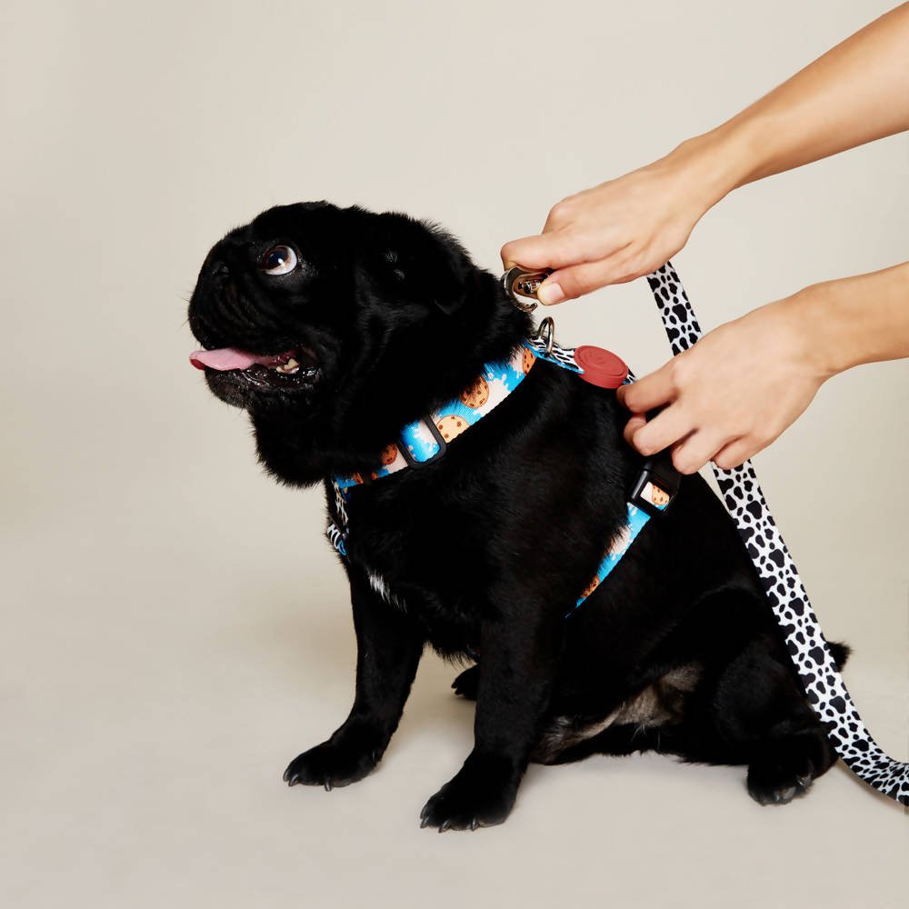 Perfect fit adjustable dog harness for training Labradors Durable, perfect fit leather dog harness designed for English Bulldogs, Cocker Spaniels, for active Border Collies,Terrier dog harness ensuring perfect control and fit, Colorful perfect fit dog harnesses for Jack Russell Terrier, French Bulldogs, for German Shepherds. Easy to use, step-in perfect fit dog harness for Boxer dogs. Premium perfect fit dog harness designed for the comfort of Golden Retrievers