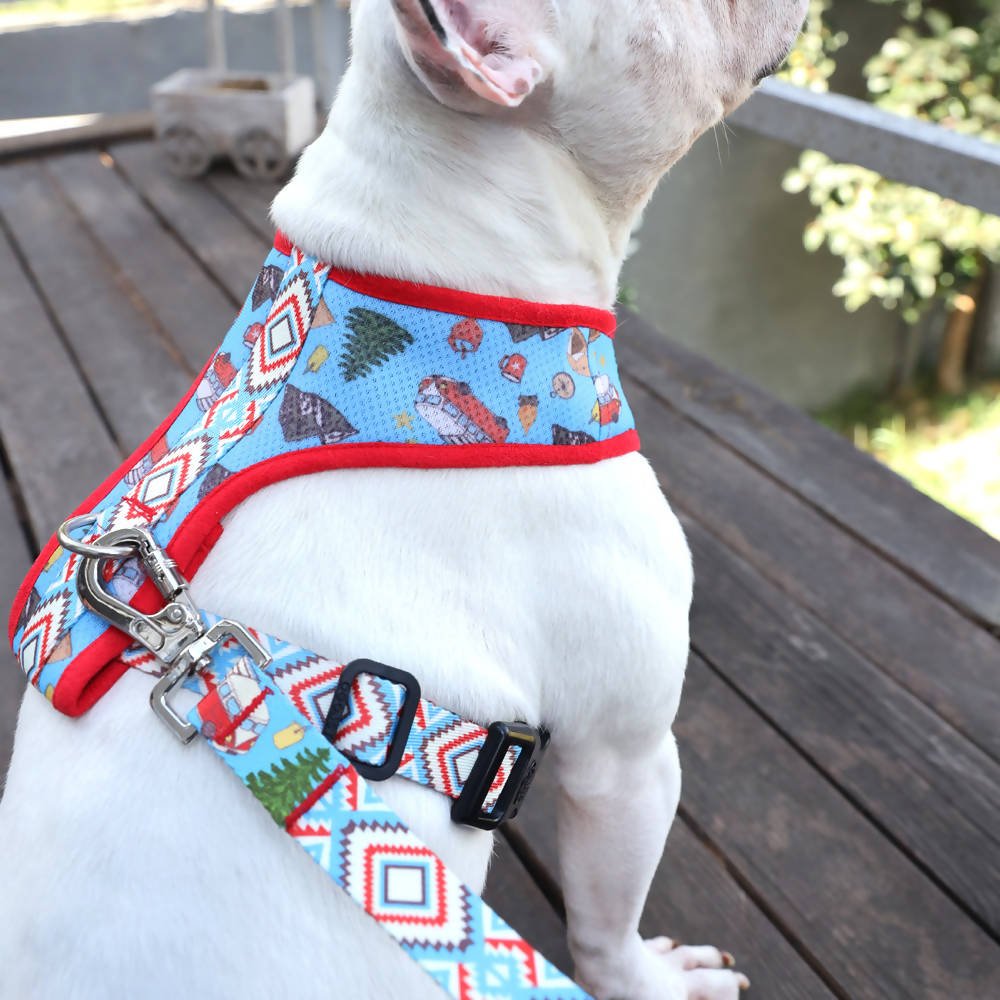 Perfect fit adjustable dog harness for training Labradors Durable, perfect fit leather dog harness designed for English Bulldogs, Cocker Spaniels, for active Border Collies,Terrier dog harness ensuring perfect control and fit, Colorful perfect fit dog harnesses for Jack Russell Terrier, French Bulldogs, for German Shepherds. Easy to use, step-in perfect fit dog harness for Boxer dogs. Premium perfect fit dog harness designed for the comfort of Golden Retrievers