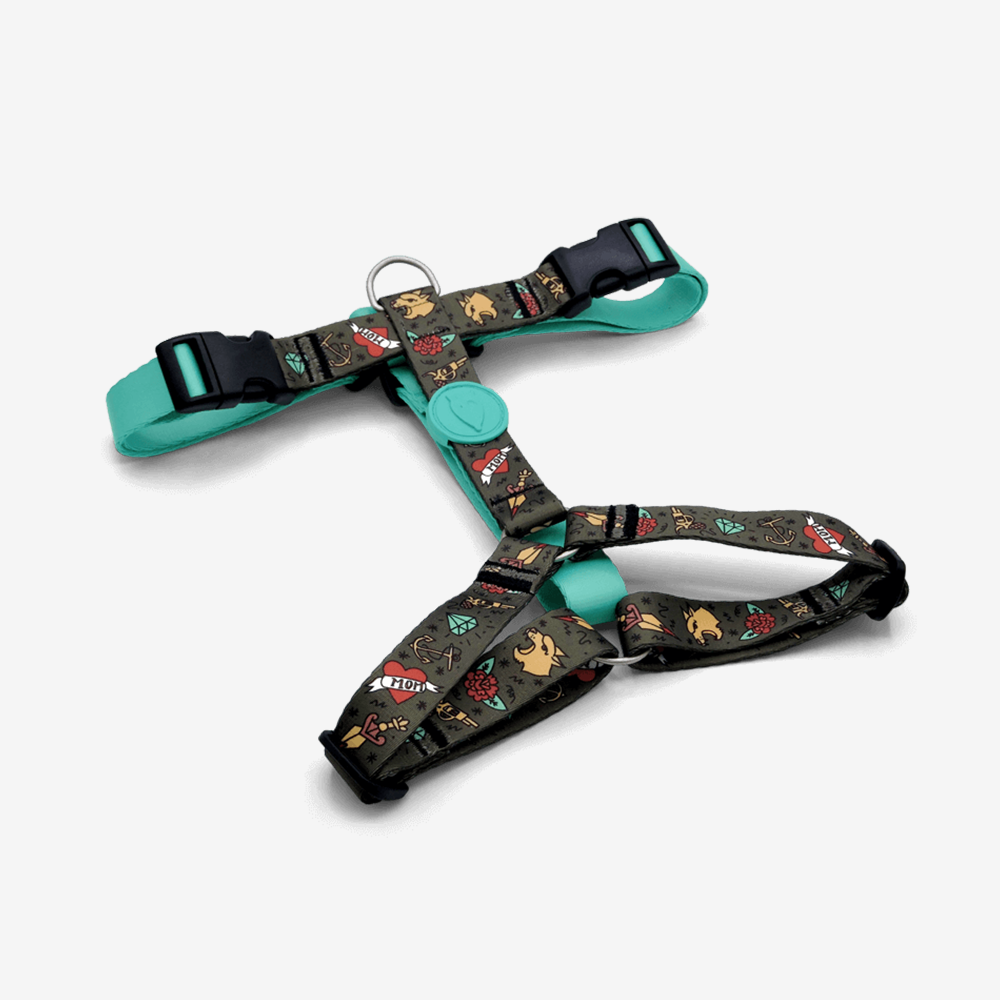 Perfect fit adjustable dog harness for training Labradors Durable, perfect fit leather dog harness designed for English Bulldogs, Cocker Spaniels, for active Border Collies,Terrier dog harness ensuring perfect control and fit, Colorful perfect fit dog harnesses for Jack Russell Terrier, French Bulldogs, for German Shepherds. Easy to use, step-in perfect fit dog harness for Boxer dogs. Premium perfect fit dog harness designed for the comfort of Golden Retrievers