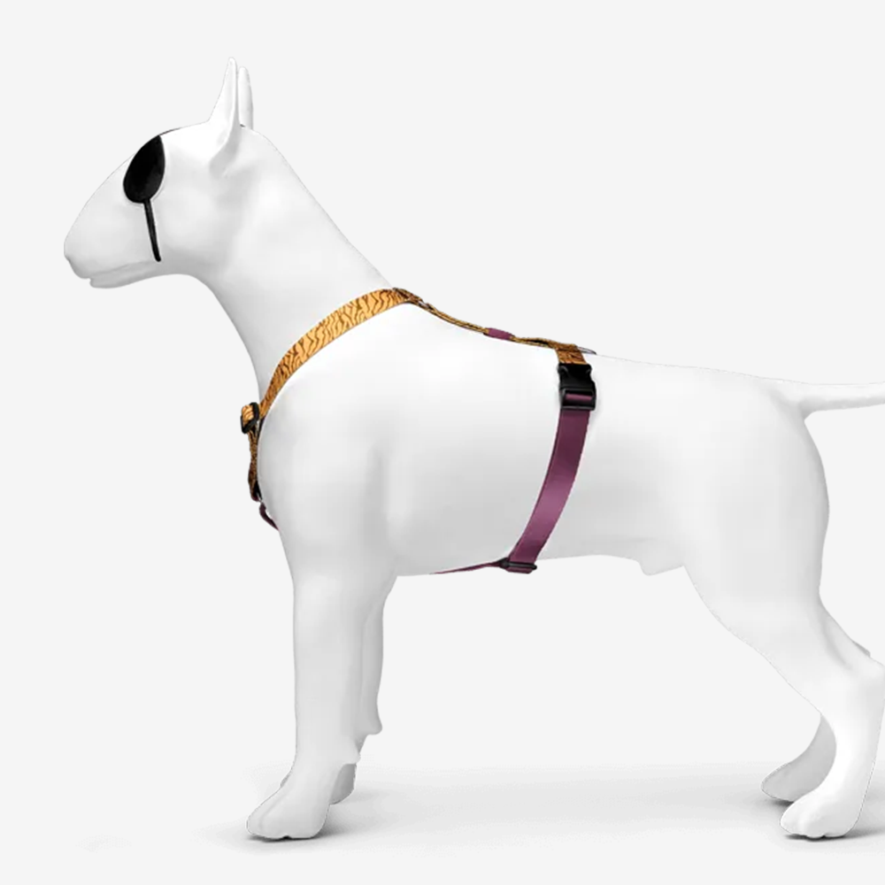 Perfect fit adjustable dog harness for training Labradors Durable, perfect fit leather dog harness designed for English Bulldogs, Cocker Spaniels, for active Border Collies,Terrier dog harness ensuring perfect control and fit, Colorful perfect fit dog harnesses for Jack Russell Terrier, French Bulldogs, for German Shepherds. Easy to use, step-in perfect fit dog harness for Boxer dogs. Premium perfect fit dog harness designed for the comfort of Golden Retrievers