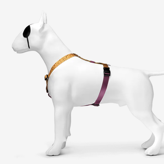 Perfect fit adjustable dog harness for training Labradors Durable, perfect fit leather dog harness designed for English Bulldogs, Cocker Spaniels, for active Border Collies,Terrier dog harness ensuring perfect control and fit, Colorful perfect fit dog harnesses for Jack Russell Terrier, French Bulldogs, for German Shepherds. Easy to use, step-in perfect fit dog harness for Boxer dogs. Premium perfect fit dog harness designed for the comfort of Golden Retrievers
