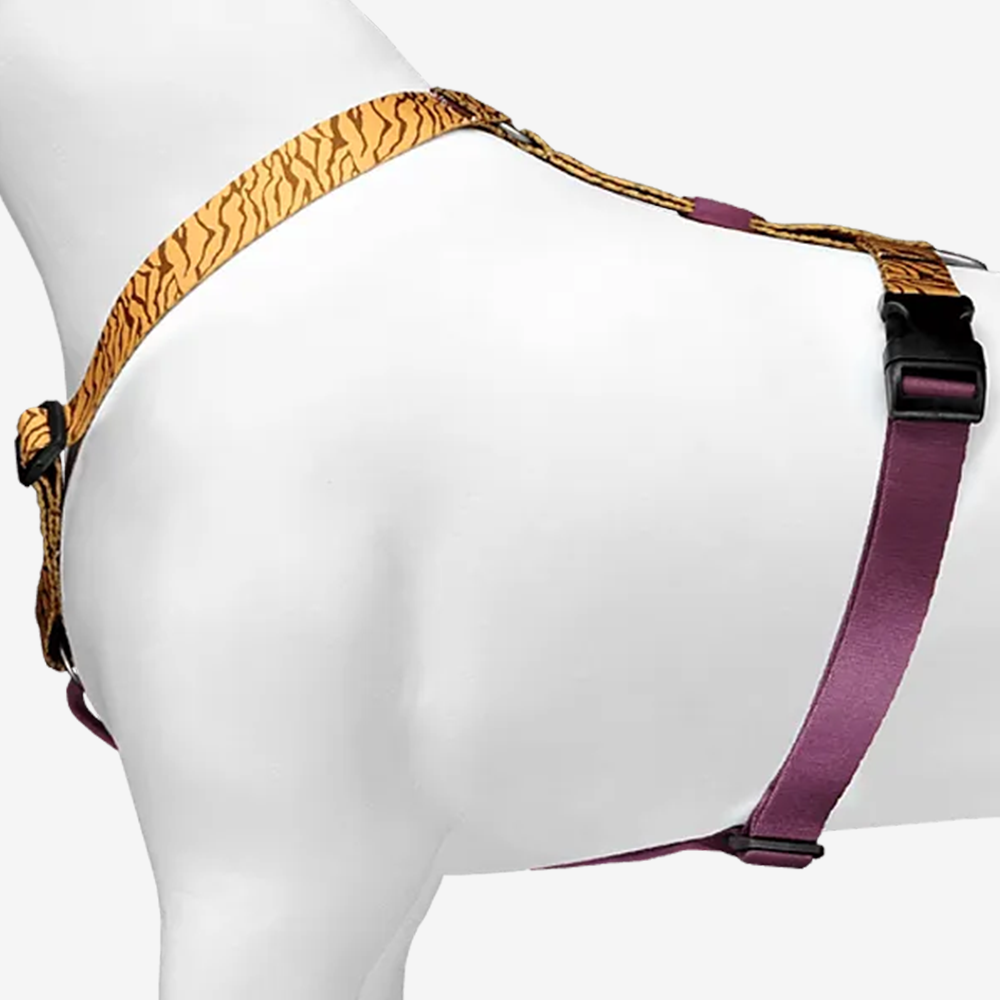 Perfect fit adjustable dog harness for training Labradors Durable, perfect fit leather dog harness designed for English Bulldogs, Cocker Spaniels, for active Border Collies,Terrier dog harness ensuring perfect control and fit, Colorful perfect fit dog harnesses for Jack Russell Terrier, French Bulldogs, for German Shepherds. Easy to use, step-in perfect fit dog harness for Boxer dogs. Premium perfect fit dog harness designed for the comfort of Golden Retrievers