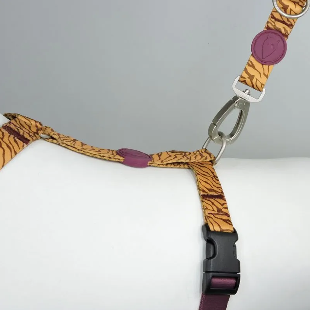 Perfect fit adjustable dog harness for training Labradors Durable, perfect fit leather dog harness designed for English Bulldogs, Cocker Spaniels, for active Border Collies,Terrier dog harness ensuring perfect control and fit, Colorful perfect fit dog harnesses for Jack Russell Terrier, French Bulldogs, for German Shepherds. Easy to use, step-in perfect fit dog harness for Boxer dogs. Premium perfect fit dog harness designed for the comfort of Golden Retrievers