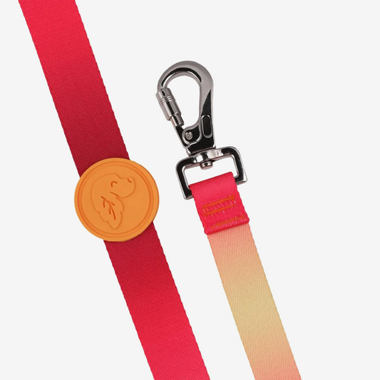 Dog leashes dog leads for Labradors Durable, for English Bulldogs, Cocker Spaniels, for active Border Collies,Terrier dog harness ensuring perfect control and fit, Colorful dog leads dog leashes for Jack Russell Terrier, French Bulldogs, for German Shepherds. Easy to use, for Boxer dogs. Premium dog leads dog leashes designed for the comfort of Golden Retrievers