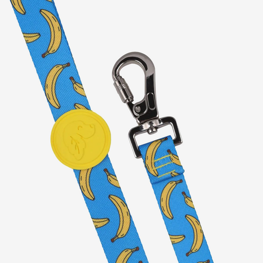 Dog leashes dog leads for Labradors Durable, for English Bulldogs, Cocker Spaniels, for active Border Collies,Terrier dog harness ensuring perfect control and fit, Colorful dog leads dog leashes for Jack Russell Terrier, French Bulldogs, for German Shepherds. Easy to use, for Boxer dogs. Premium dog leads dog leashes designed for the comfort of Golden Retrievers