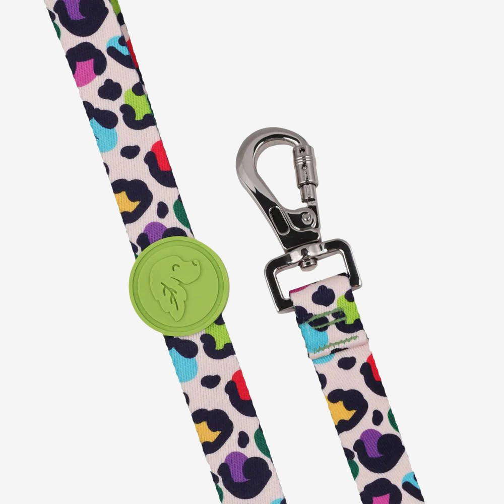 Dog leashes dog leads for Labradors Durable, for English Bulldogs, Cocker Spaniels, for active Border Collies,Terrier dog harness ensuring perfect control and fit, Colorful dog leads dog leashes for Jack Russell Terrier, French Bulldogs, for German Shepherds. Easy to use, for Boxer dogs. Premium dog leads dog leashes designed for the comfort of Golden Retrievers