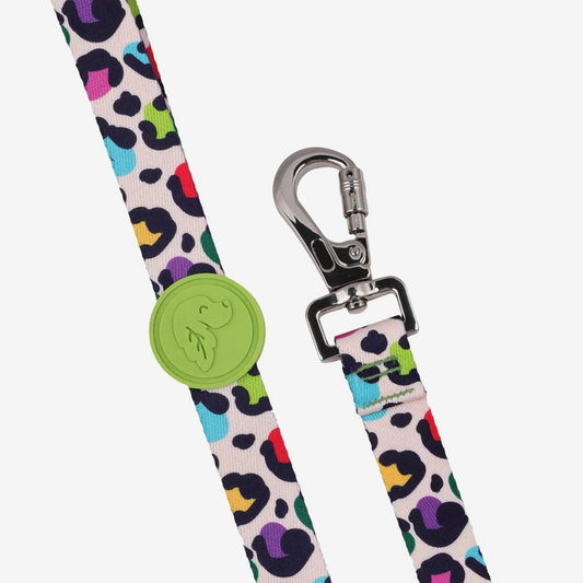 Dog leashes dog leads for Labradors Durable, for English Bulldogs, Cocker Spaniels, for active Border Collies,Terrier dog harness ensuring perfect control and fit, Colorful dog leads dog leashes for Jack Russell Terrier, French Bulldogs, for German Shepherds. Easy to use, for Boxer dogs. Premium dog leads dog leashes designed for the comfort of Golden Retrievers