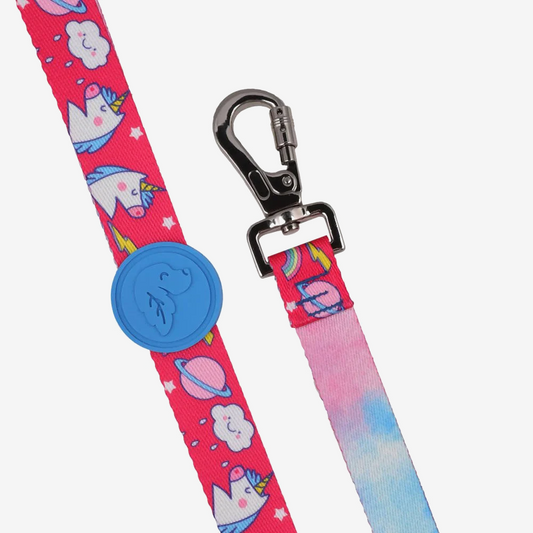 Dog leashes dog leads for Labradors Durable, for English Bulldogs, Cocker Spaniels, for active Border Collies,Terrier dog harness ensuring perfect control and fit, Colorful dog leads dog leashes for Jack Russell Terrier, French Bulldogs, for German Shepherds. Easy to use, for Boxer dogs. Premium dog leads dog leashes designed for the comfort of Golden Retrievers