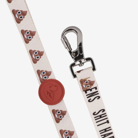 Dog leashes dog leads for Labradors Durable, for English Bulldogs, Cocker Spaniels, for active Border Collies,Terrier dog harness ensuring perfect control and fit, Colorful dog leads dog leashes for Jack Russell Terrier, French Bulldogs, for German Shepherds. Easy to use, for Boxer dogs. Premium dog leads dog leashes designed for the comfort of Golden Retrievers