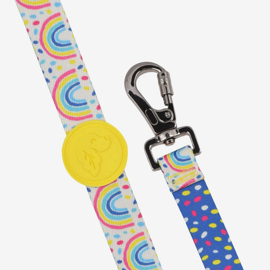 Dog leashes dog leads for Labradors Durable, for English Bulldogs, Cocker Spaniels, for active Border Collies,Terrier dog harness ensuring perfect control and fit, Colorful dog leads dog leashes for Jack Russell Terrier, French Bulldogs, for German Shepherds. Easy to use, for Boxer dogs. Premium dog leads dog leashes designed for the comfort of Golden Retrievers