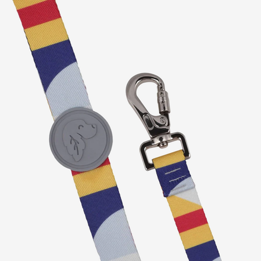 Dog leashes dog leads for Labradors Durable, for English Bulldogs, Cocker Spaniels, for active Border Collies,Terrier dog harness ensuring perfect control and fit, Colorful dog leads dog leashes for Jack Russell Terrier, French Bulldogs, for German Shepherds. Easy to use, for Boxer dogs. Premium dog leads dog leashes designed for the comfort of Golden Retrievers