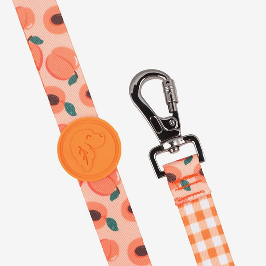 Dog leashes dog leads for Labradors Durable, for English Bulldogs, Cocker Spaniels, for active Border Collies,Terrier dog harness ensuring perfect control and fit, Colorful dog leads dog leashes for Jack Russell Terrier, French Bulldogs, for German Shepherds. Easy to use, for Boxer dogs. Premium dog leads dog leashes designed for the comfort of Golden Retrievers