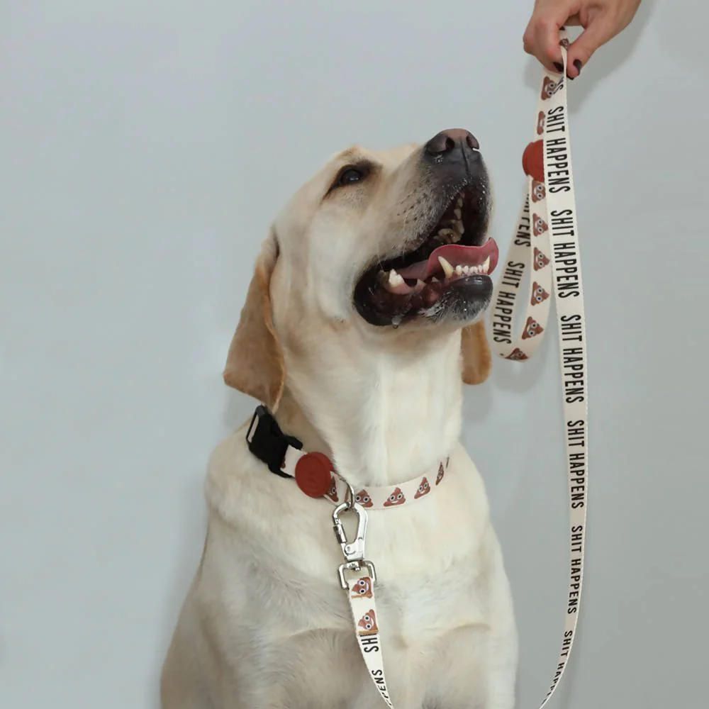 Dog leashes dog leads for Labradors Durable, for English Bulldogs, Cocker Spaniels, for active Border Collies,Terrier dog harness ensuring perfect control and fit, Colorful dog leads dog leashes for Jack Russell Terrier, French Bulldogs, for German Shepherds. Easy to use, for Boxer dogs. Premium dog leads dog leashes designed for the comfort of Golden Retrievers