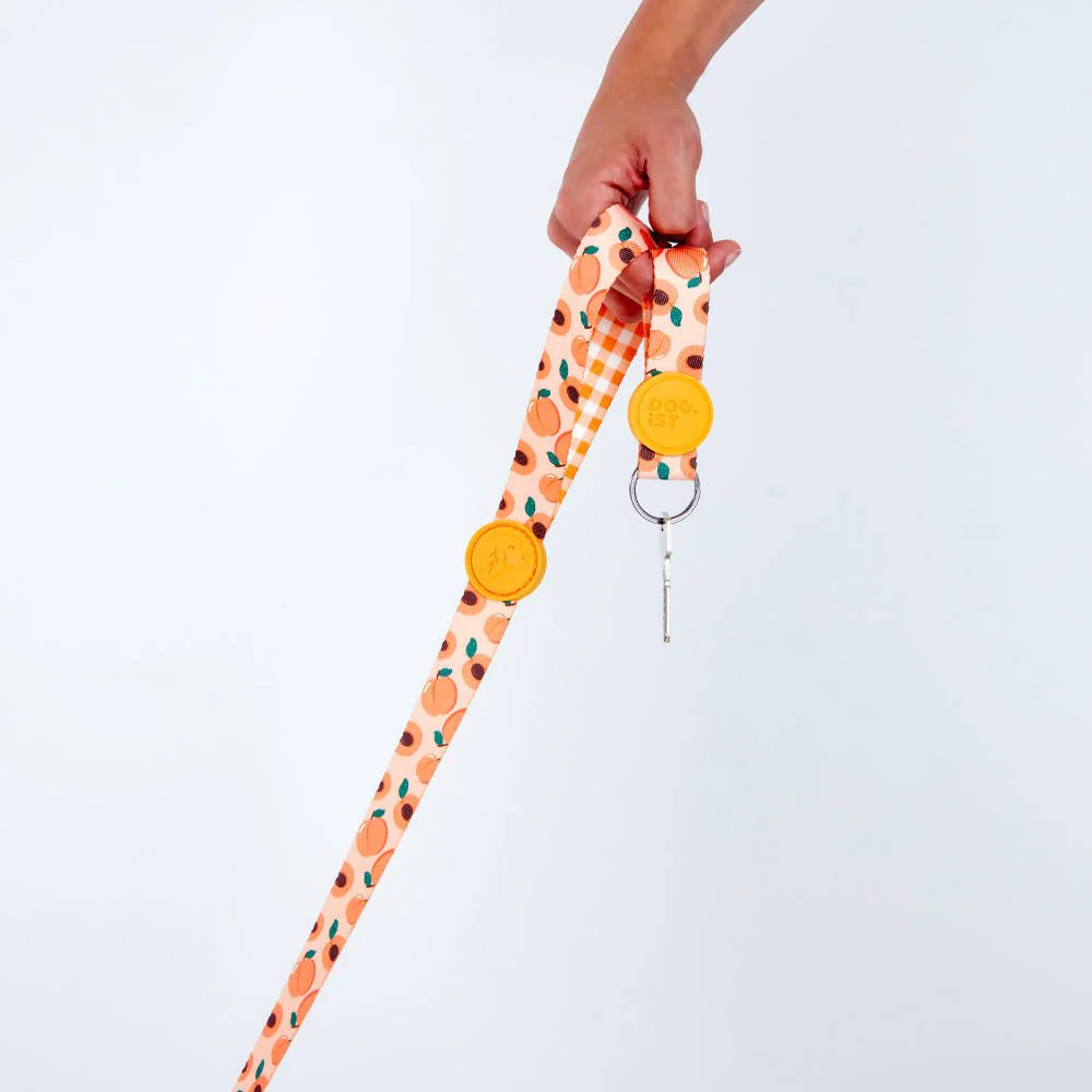 Dog leashes dog leads for Labradors Durable, for English Bulldogs, Cocker Spaniels, for active Border Collies,Terrier dog harness ensuring perfect control and fit, Colorful dog leads dog leashes for Jack Russell Terrier, French Bulldogs, for German Shepherds. Easy to use, for Boxer dogs. Premium dog leads dog leashes designed for the comfort of Golden Retrievers