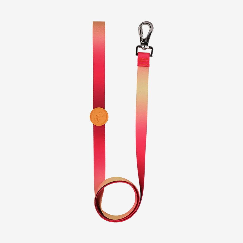 Dog leashes dog leads for Labradors Durable, for English Bulldogs, Cocker Spaniels, for active Border Collies,Terrier dog harness ensuring perfect control and fit, Colorful dog leads dog leashes for Jack Russell Terrier, French Bulldogs, for German Shepherds. Easy to use, for Boxer dogs. Premium dog leads dog leashes designed for the comfort of Golden Retrievers