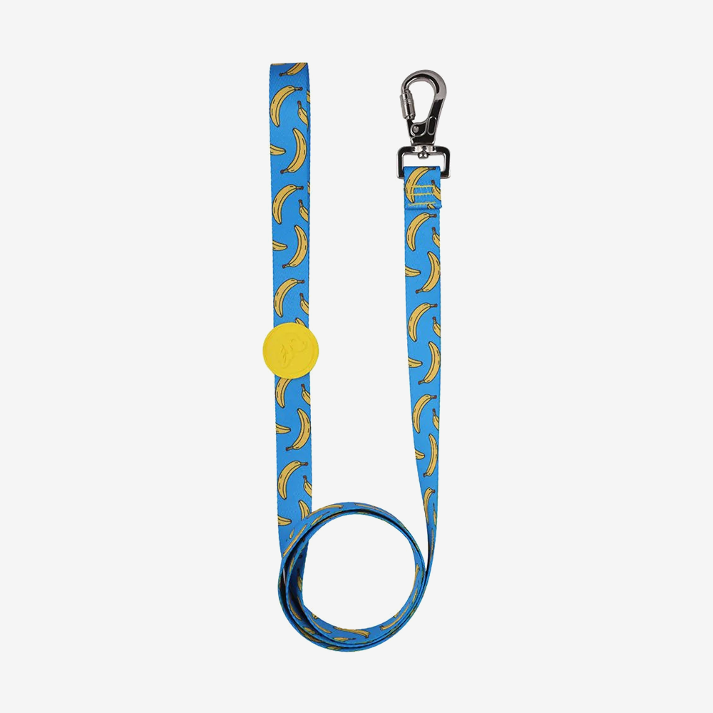 Dog leashes dog leads for Labradors Durable, for English Bulldogs, Cocker Spaniels, for active Border Collies,Terrier dog harness ensuring perfect control and fit, Colorful dog leads dog leashes for Jack Russell Terrier, French Bulldogs, for German Shepherds. Easy to use, for Boxer dogs. Premium dog leads dog leashes designed for the comfort of Golden Retrievers