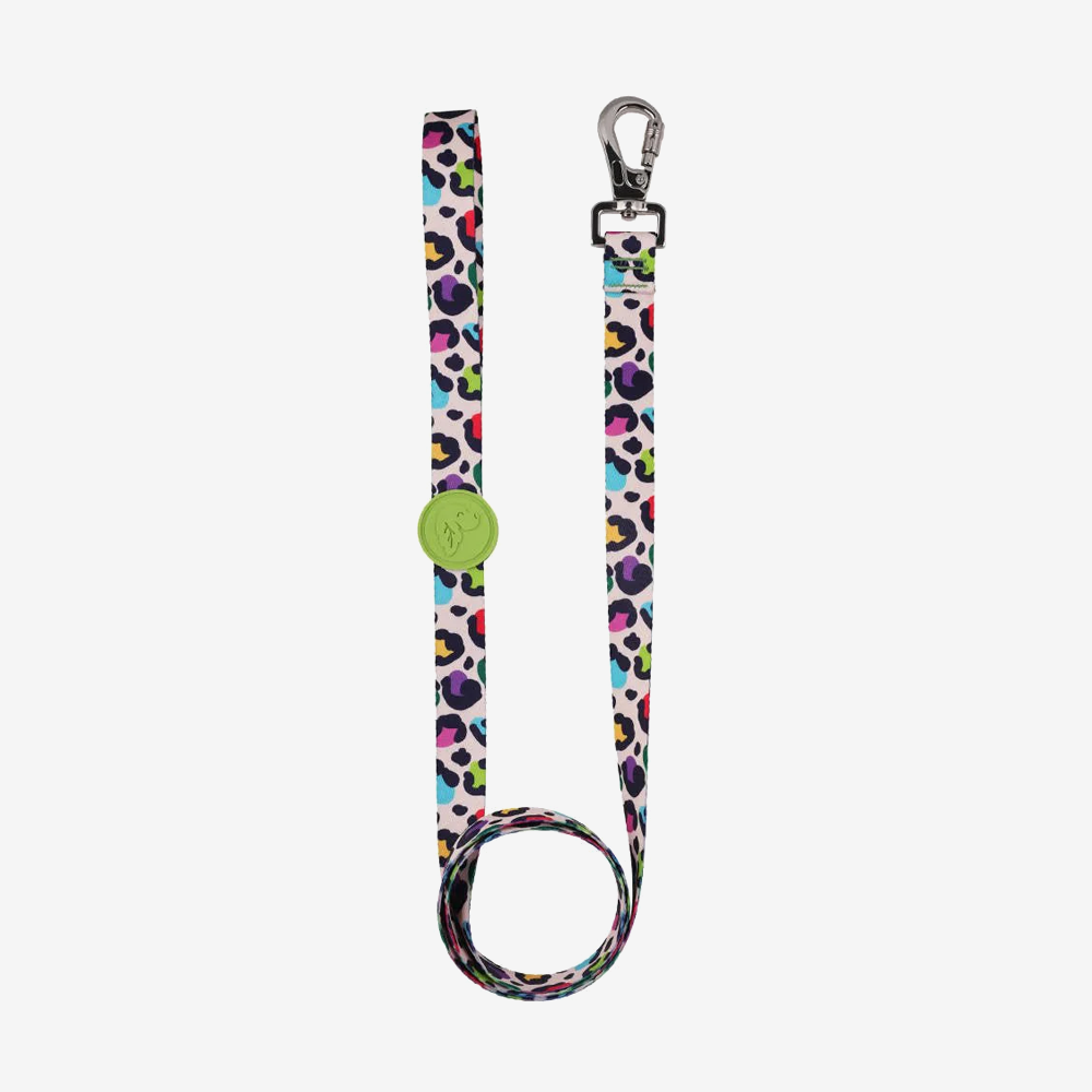 Dog leashes dog leads for Labradors Durable, for English Bulldogs, Cocker Spaniels, for active Border Collies,Terrier dog harness ensuring perfect control and fit, Colorful dog leads dog leashes for Jack Russell Terrier, French Bulldogs, for German Shepherds. Easy to use, for Boxer dogs. Premium dog leads dog leashes designed for the comfort of Golden Retrievers