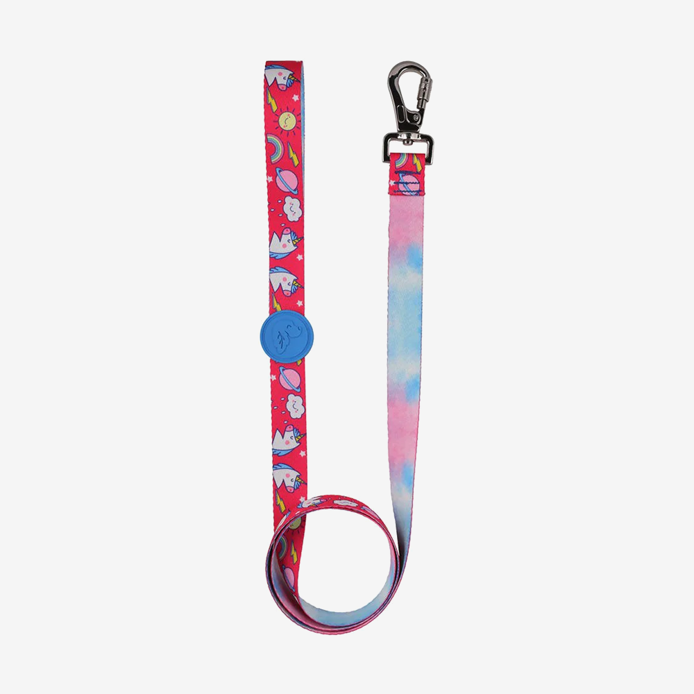 Leashes hot sale & leads