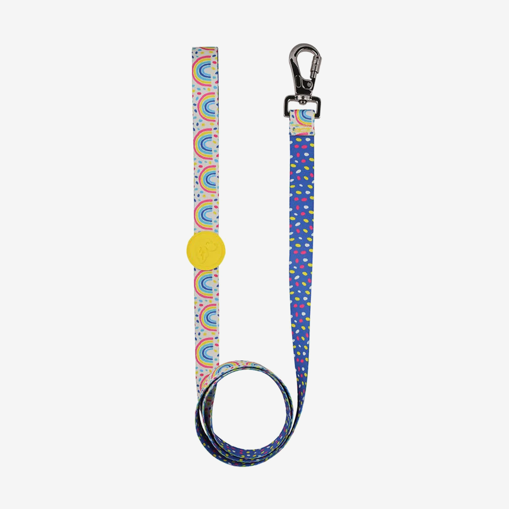 Dog leashes dog leads for Labradors Durable, for English Bulldogs, Cocker Spaniels, for active Border Collies,Terrier dog harness ensuring perfect control and fit, Colorful dog leads dog leashes for Jack Russell Terrier, French Bulldogs, for German Shepherds. Easy to use, for Boxer dogs. Premium dog leads dog leashes designed for the comfort of Golden Retrievers