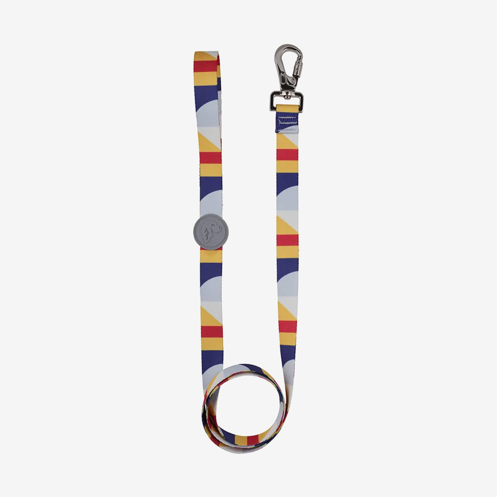 Dog leashes dog leads for Labradors Durable, for English Bulldogs, Cocker Spaniels, for active Border Collies,Terrier dog harness ensuring perfect control and fit, Colorful dog leads dog leashes for Jack Russell Terrier, French Bulldogs, for German Shepherds. Easy to use, for Boxer dogs. Premium dog leads dog leashes designed for the comfort of Golden Retrievers