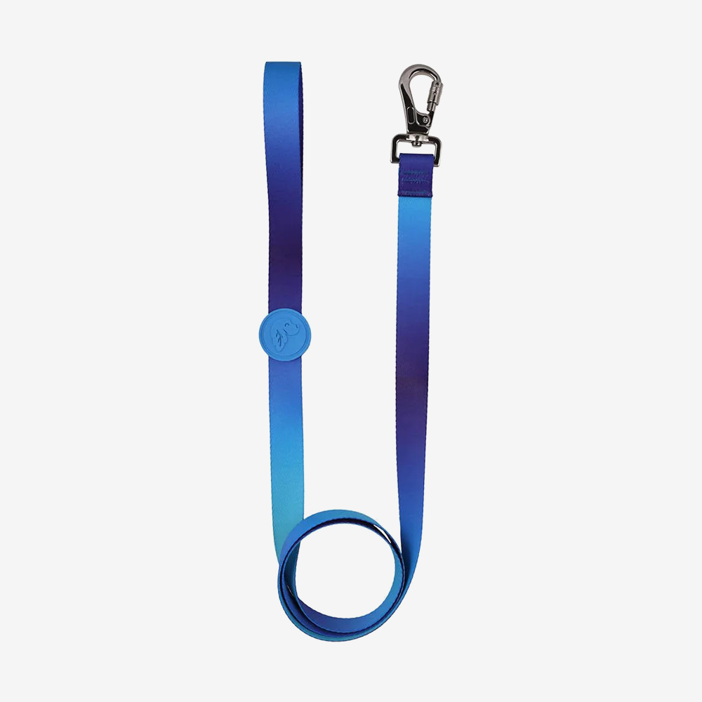 Dog leashes dog leads for Labradors Durable, for English Bulldogs, Cocker Spaniels, for active Border Collies,Terrier dog harness ensuring perfect control and fit, Colorful dog leads dog leashes for Jack Russell Terrier, French Bulldogs, for German Shepherds. Easy to use, for Boxer dogs. Premium dog leads dog leashes designed for the comfort of Golden Retrievers