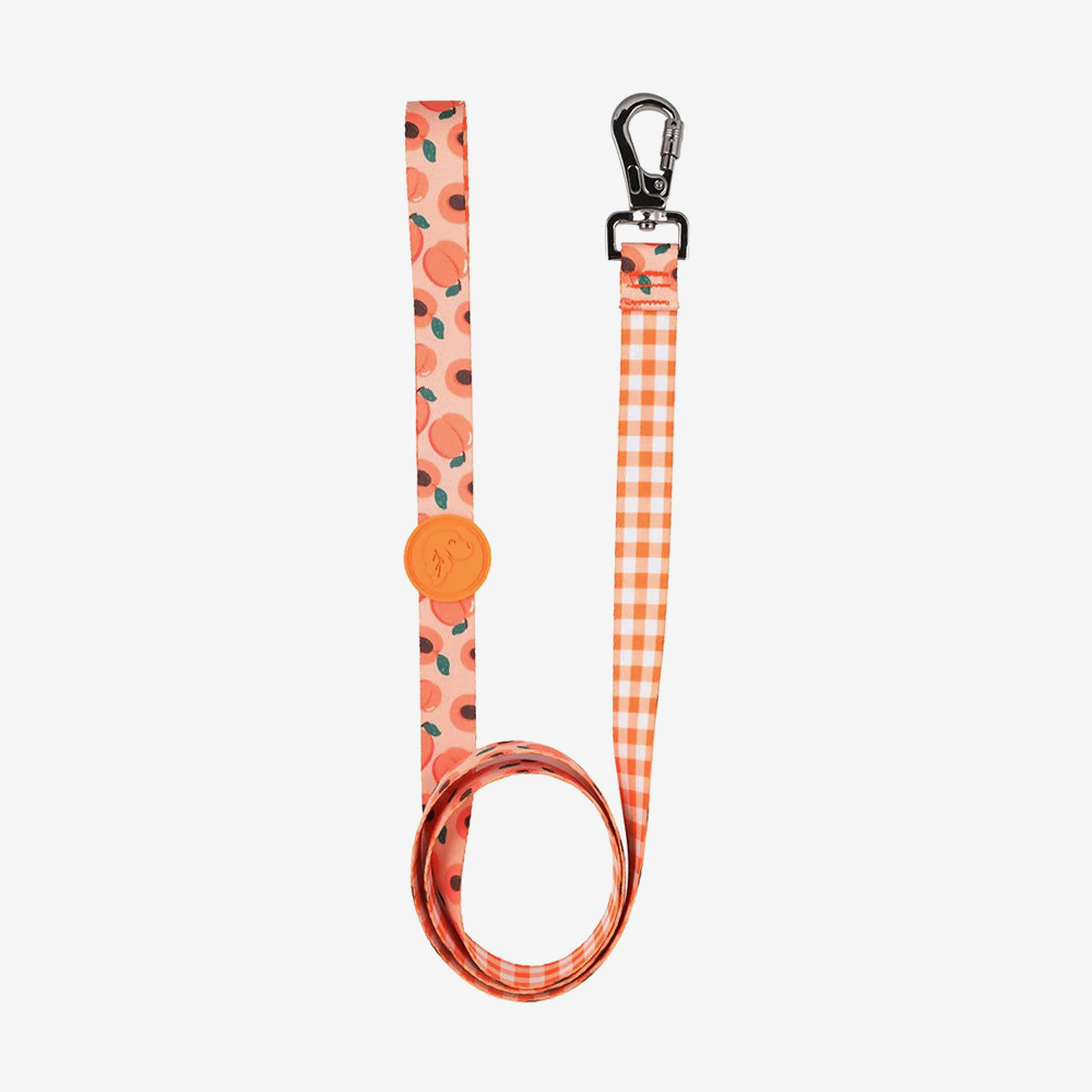 Dog leashes dog leads for Labradors Durable, for English Bulldogs, Cocker Spaniels, for active Border Collies,Terrier dog harness ensuring perfect control and fit, Colorful dog leads dog leashes for Jack Russell Terrier, French Bulldogs, for German Shepherds. Easy to use, for Boxer dogs. Premium dog leads dog leashes designed for the comfort of Golden Retrievers