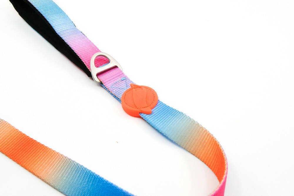 Dog leashes dog leads for Labradors Durable, for English Bulldogs, Cocker Spaniels, for active Border Collies,Terrier dog harness ensuring perfect control and fit, Colorful dog leads dog leashes for Jack Russell Terrier, French Bulldogs, for German Shepherds. Easy to use, for Boxer dogs. Premium dog leads dog leashes designed for the comfort of Golden Retrievers
