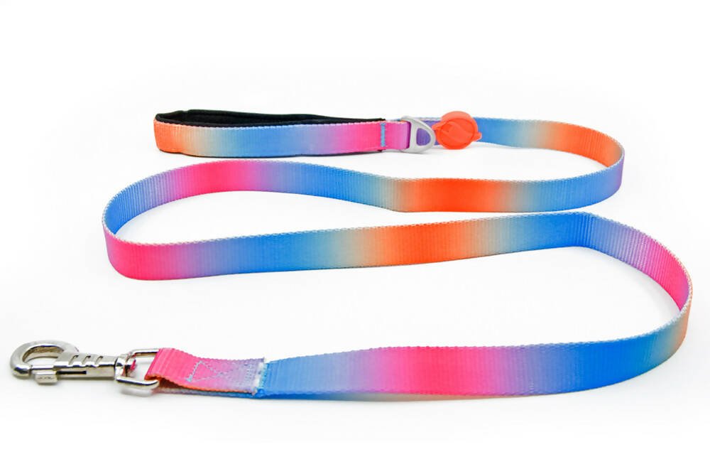 Dog leashes dog leads for Labradors Durable, for English Bulldogs, Cocker Spaniels, for active Border Collies,Terrier dog harness ensuring perfect control and fit, Colorful dog leads dog leashes for Jack Russell Terrier, French Bulldogs, for German Shepherds. Easy to use, for Boxer dogs. Premium dog leads dog leashes designed for the comfort of Golden Retrievers