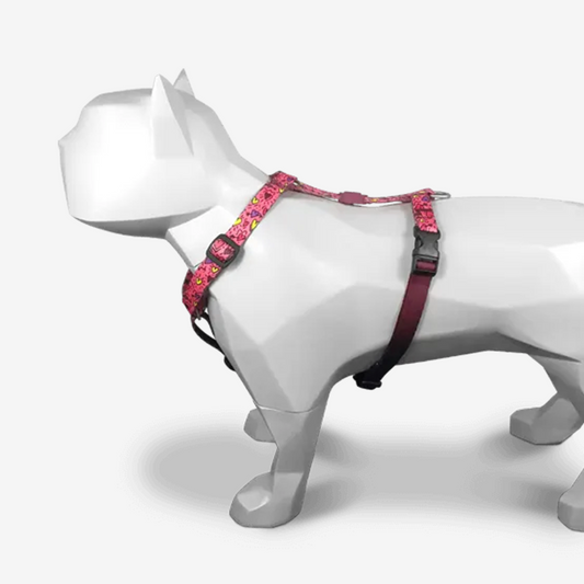 Perfect fit adjustable dog harness for training Labradors Durable, perfect fit leather dog harness designed for English Bulldogs, Cocker Spaniels, for active Border Collies,Terrier dog harness ensuring perfect control and fit, Colorful perfect fit dog harnesses for Jack Russell Terrier, French Bulldogs, for German Shepherds. Easy to use, step-in perfect fit dog harness for Boxer dogs. Premium perfect fit dog harness designed for the comfort of Golden Retrievers