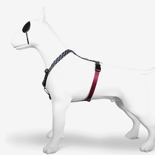 Perfect fit adjustable dog harness for training Labradors Durable, perfect fit leather dog harness designed for English Bulldogs, Cocker Spaniels, for active Border Collies,Terrier dog harness ensuring perfect control and fit, Colorful perfect fit dog harnesses for Jack Russell Terrier, French Bulldogs, for German Shepherds. Easy to use, step-in perfect fit dog harness for Boxer dogs. Premium perfect fit dog harness designed for the comfort of Golden Retrievers