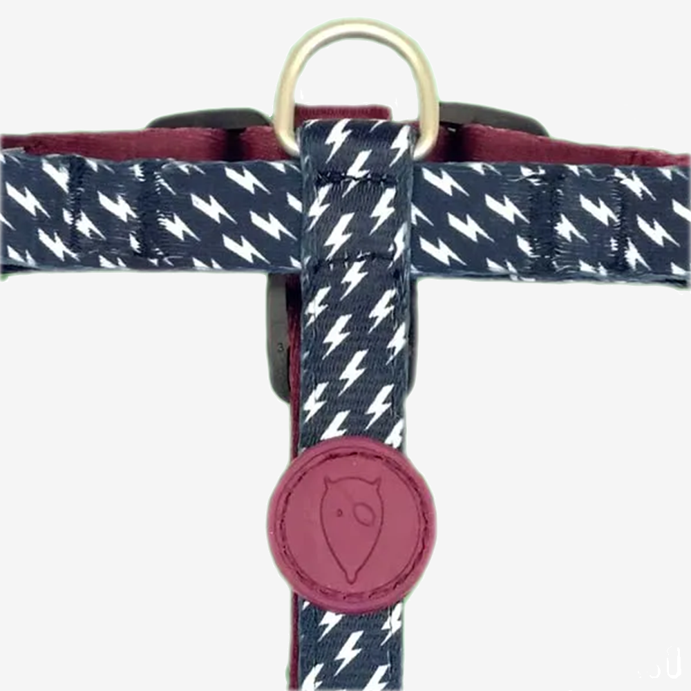 Perfect fit adjustable dog harness for training Labradors Durable, perfect fit leather dog harness designed for English Bulldogs, Cocker Spaniels, for active Border Collies,Terrier dog harness ensuring perfect control and fit, Colorful perfect fit dog harnesses for Jack Russell Terrier, French Bulldogs, for German Shepherds. Easy to use, step-in perfect fit dog harness for Boxer dogs. Premium perfect fit dog harness designed for the comfort of Golden Retrievers