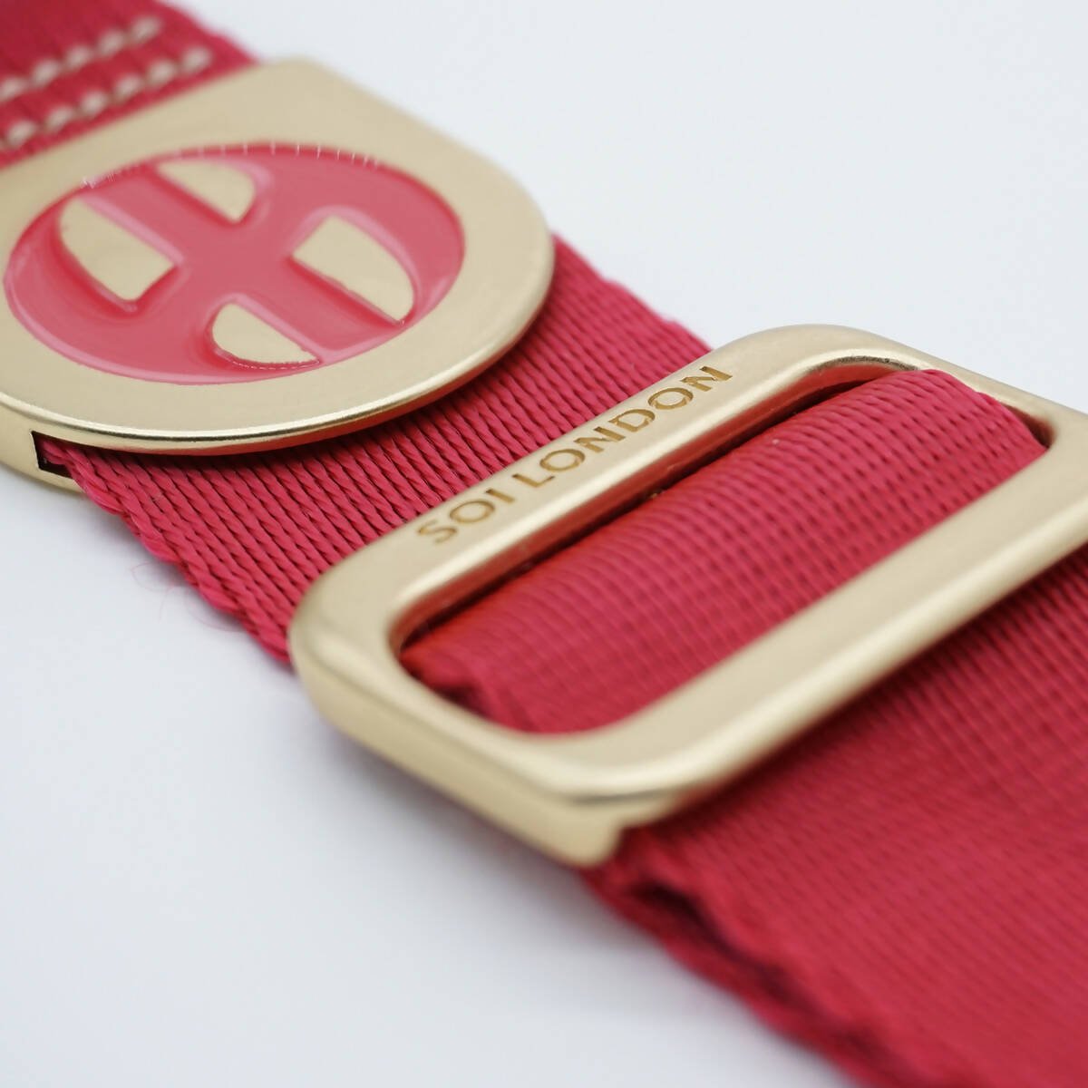 Vibrant collection of dog collars available in our online pet shop. Premium designer dog collar, now in stock at our online store. Luxury collar.