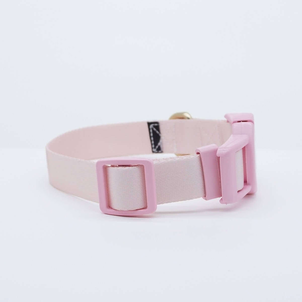 Vibrant collection of dog collars available in our online pet shop. Premium designer dog collar, now in stock at our online store.