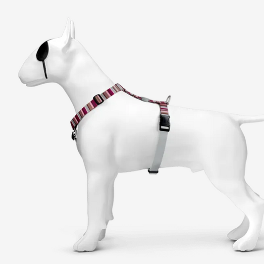 Perfect fit adjustable dog harness for training Labradors Durable, perfect fit leather dog harness designed for English Bulldogs, Cocker Spaniels, for active Border Collies,Terrier dog harness ensuring perfect control and fit, Colorful perfect fit dog harnesses for Jack Russell Terrier, French Bulldogs, for German Shepherds. Easy to use, step-in perfect fit dog harness for Boxer dogs. Premium perfect fit dog harness designed for the comfort of Golden Retrievers