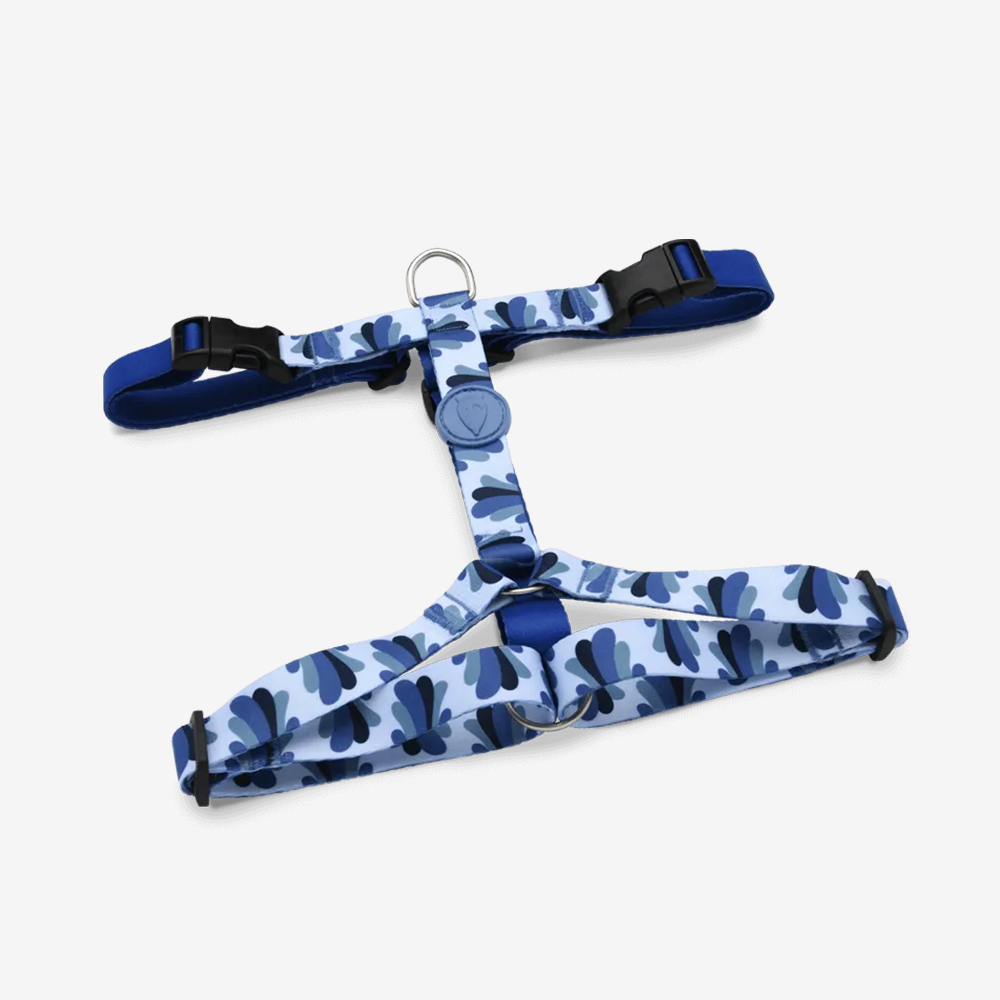 Perfect fit adjustable dog harness for training Labradors Durable, perfect fit leather dog harness designed for English Bulldogs, Cocker Spaniels, for active Border Collies,Terrier dog harness ensuring perfect control and fit, Colorful perfect fit dog harnesses for Jack Russell Terrier, French Bulldogs, for German Shepherds. Easy to use, step-in perfect fit dog harness for Boxer dogs. Premium perfect fit dog harness designed for the comfort of Golden Retrievers
