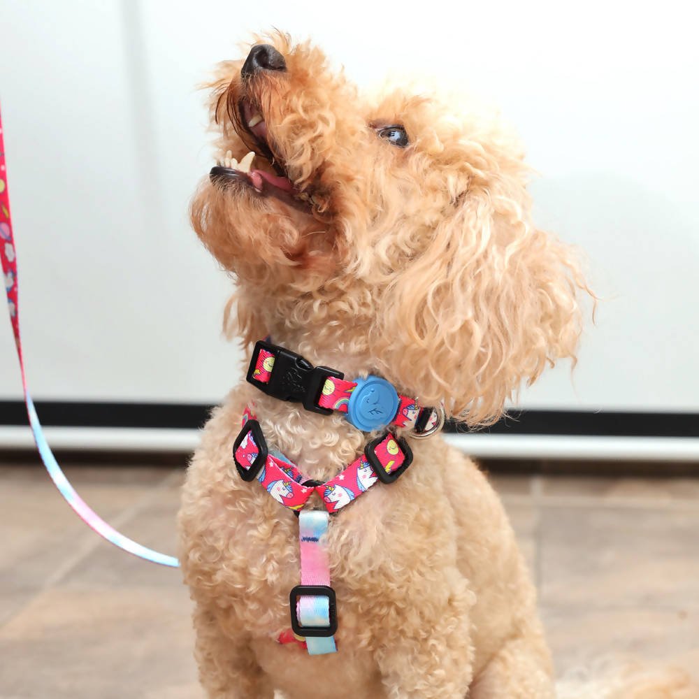 Perfect fit adjustable dog harness for training Labradors Durable, perfect fit leather dog harness designed for English Bulldogs, Cocker Spaniels, for active Border Collies,Terrier dog harness ensuring perfect control and fit, Colorful perfect fit dog harnesses for Jack Russell Terrier, French Bulldogs, for German Shepherds. Easy to use, step-in perfect fit dog harness for Boxer dogs. Premium perfect fit dog harness designed for the comfort of Golden Retrievers