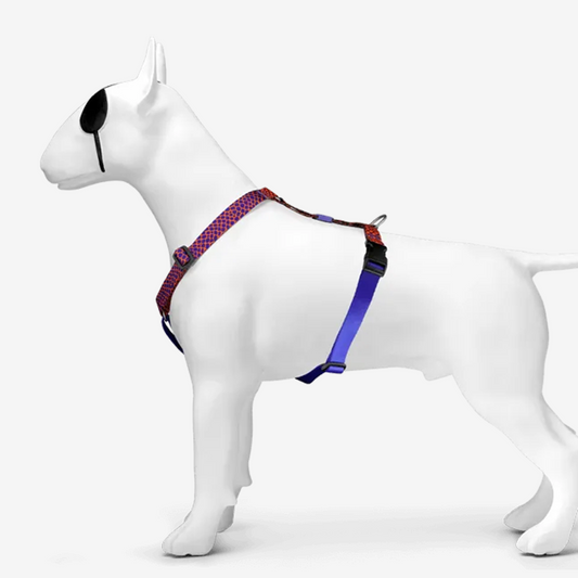 Urban Lizard H-Harness